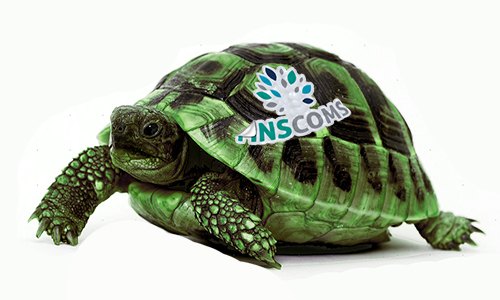 Tortoise500-1 A New Year for Law Firms, Marketing same old strategy and investment as last year?