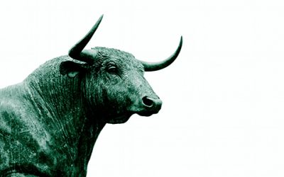 bull500-400x250 The View